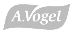 A.Vogel