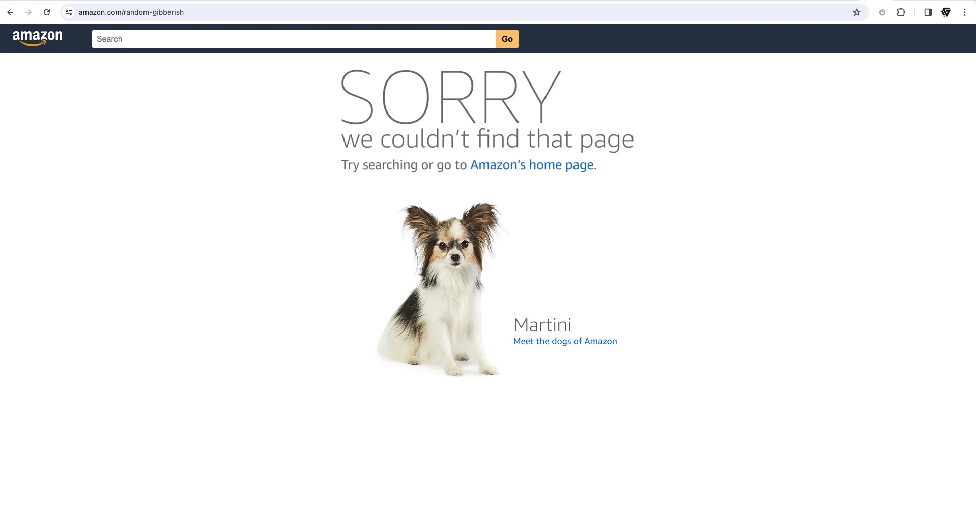 Amazon.com 404 Page